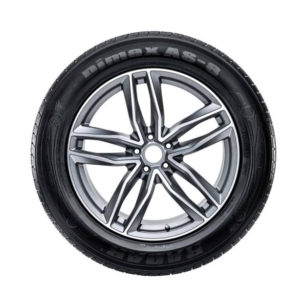 RADAR DIMAX AS-8 215_55R17 94V - 图片 2